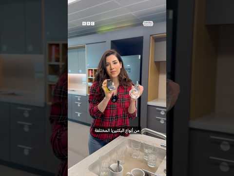 فيديو | حقائق "مفزعة" عن أنواع البكتيريا التي توجد في إسفنجة الجلي