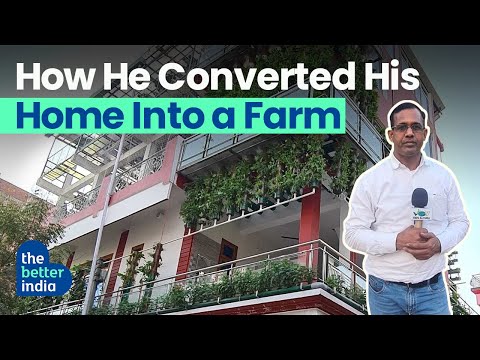 Journalist Converts 3 Storey Home Into Hydroponics Farm, Earns Rs 70 Lakh/Year | The Better India