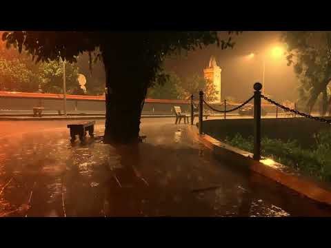 Fall Asleep Faster with Sweet Rain Sound in Park at Night   Nature Sounds for Sleeping   Relaxing