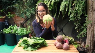 Brincadeiras Sensoriais com alimentos naturais, beterraba e folhas | Com Ana Cancello (Legendado)
