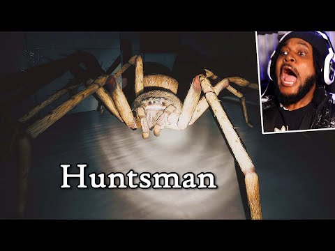 MY 2ND DEEPEST FEAR.. There's a GIANT Spider [Huntsman]