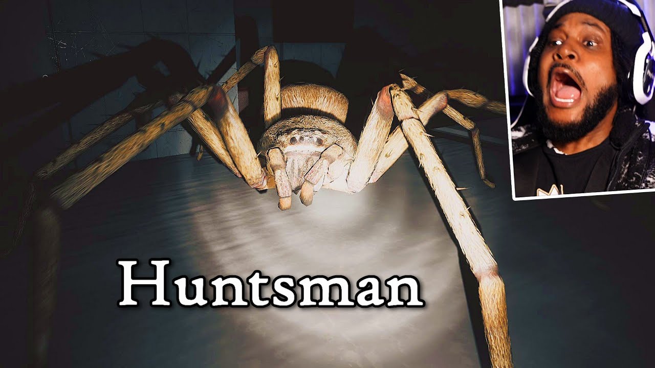 MY 2ND DEEPEST FEAR.. There's a GIANT Spider [Huntsman]