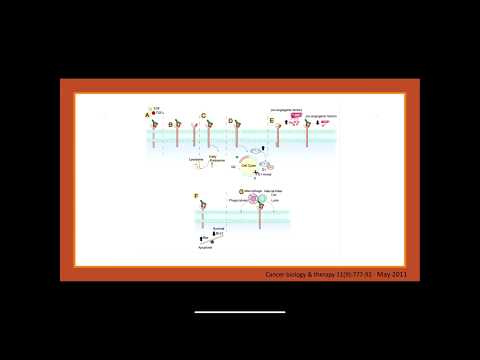 Erbitux Una Estrategia Clara Contra el Cáncer