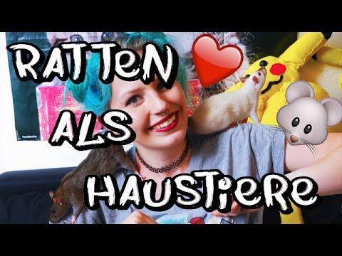 Verbul kennenlernen