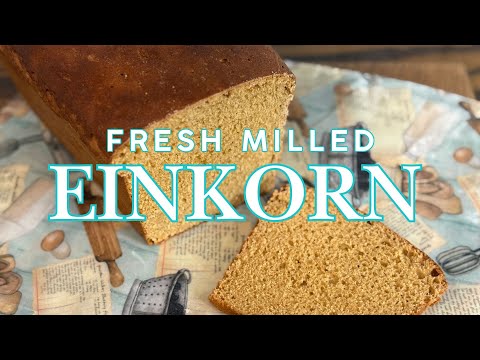 Easy Einkorn Bread Made with Freshly Milled Flour | Beginner-Friendly Ancient Grain Bread Recipe