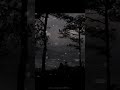 Romantic Songs Remix Gramophone Bites Lofi Music Feel The Music Feel The Love