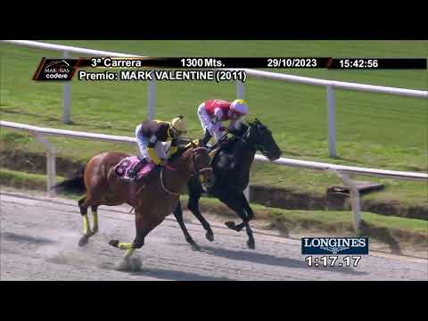 231029 c03 AMIGO JERRY