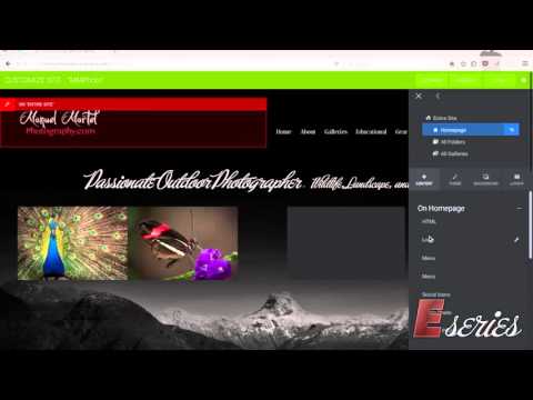 How to build a menu for the entire site on Smugmug.