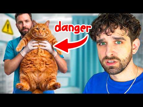 My Kitten is TOO FAT! (Emergency Vet Visit)