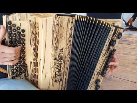 Puschtra Harmonika Modell Kaiserklang