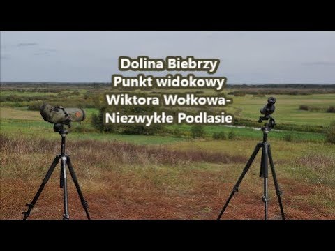 Dolina Biebrzy   Punkt widokowy Wiktora Wołkowa   Niezwykłe Podlasie