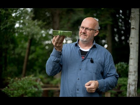 Unboxing Thor Holvila bonsai pots