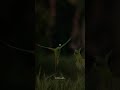 Unakaga Vaazha Nenaikiren ️ Tamil Love Whatsapp Status Vijay Nayanthara Mersal Lyricsspot Love