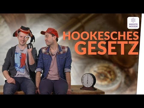 Das Hookesche Gesetz I musstewissen Physik