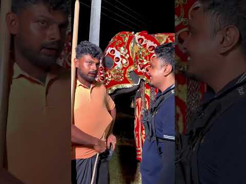 රටක් දන්න පිහිය🥰😮 #vairalvideo #fypyoutube #trendingvideo #fypシ゚viral