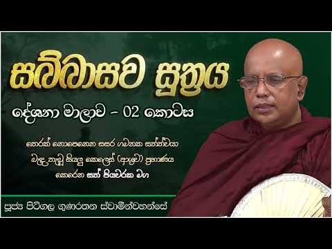 සබ්බාසව සූත්‍ර දේශනා මාලාව 02 - Sabbasawa Sutta 02 | Ven. Pitigala Gunaratana Thero