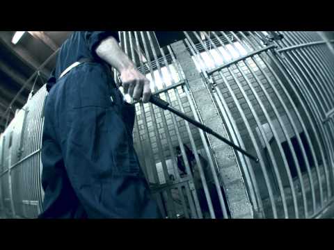 Fresku - Hedde Druksop ft. Theo Maassen)