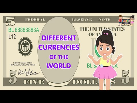 Different Currency l Currency Around The World l Kooboo Production