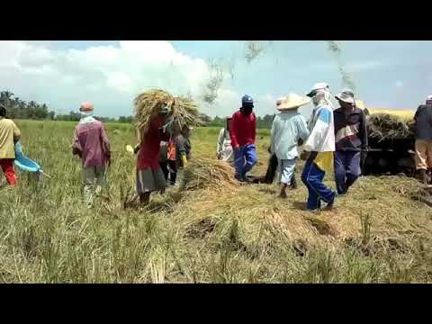 Gasvryheid GRAAD 11: 21 April 2020 - periode 3B (21113-002)