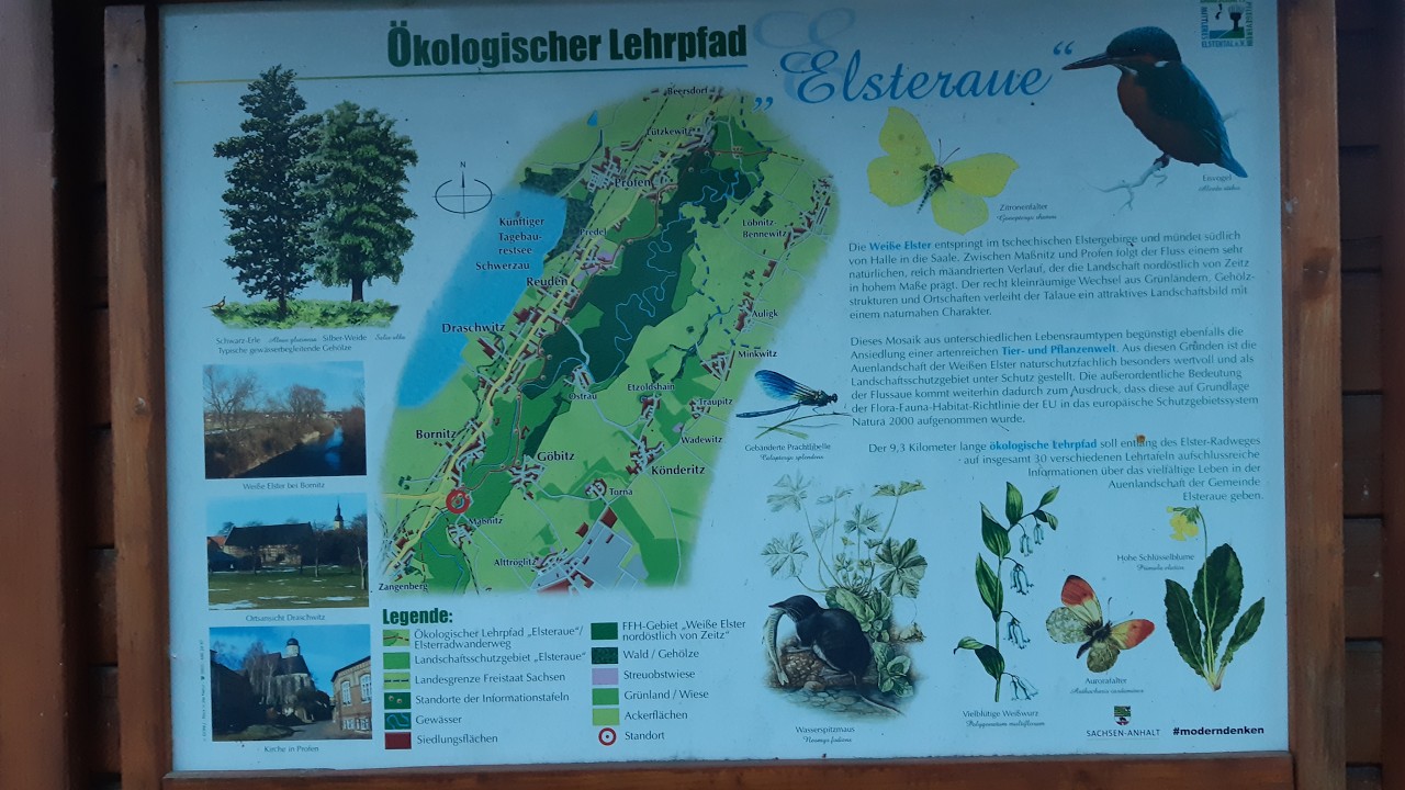 Ökologischer Lehrpfad Elsteraue