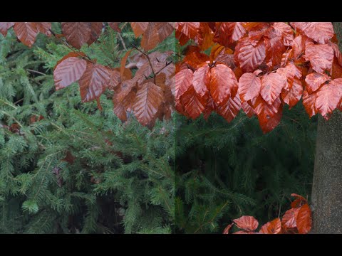 Darktable Episode 72: Color harmonies part 1