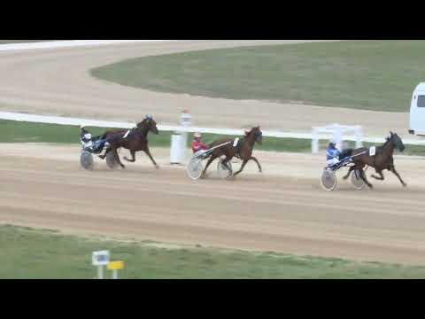 2018.04.07 Ügető 4 futam