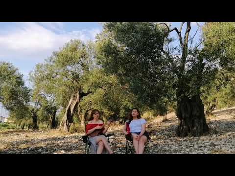 Gökhan Türkmen & Birkan Nasuhoğlu - Gülmedi Kader (Ukulele Cover)