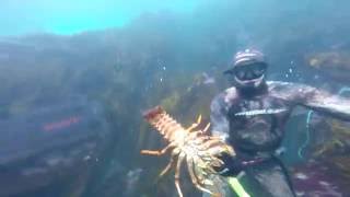 Free diving for crayfish near Warrnambool 2016