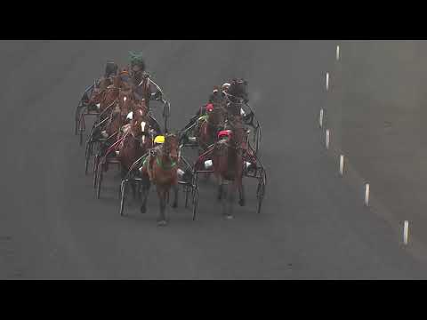 Prix d'Amérique Races ZEturf Qualif#2 (GP Bourbonnais) - La course - Face Time Bourbon