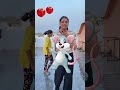Oh Tomatoes Great Fun Game Shorts Short