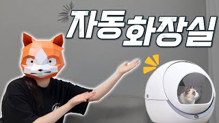 고양이 자동화장실 1년 사용 집사의 찐 리뷰 후기!!