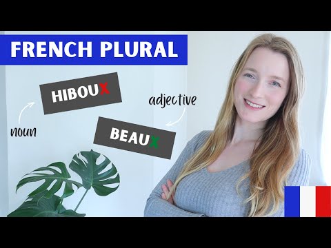 French plural ending in X | Plural of nouns and adjectives