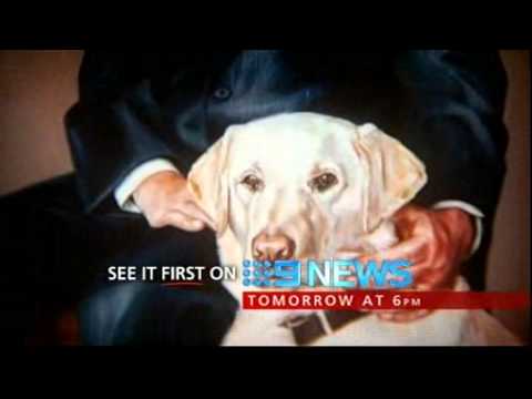 Meet Astro, the Victorian Governor's dog...