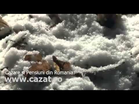 Cazare Palanca, Prahova - Cazat.ro