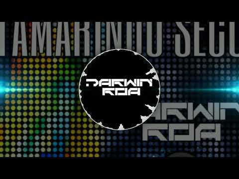 Darwin Roa - Tamarindo Seco - Original Mix