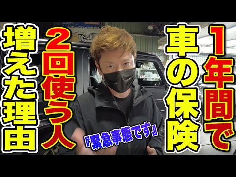 あなたの庭を雹から守るにはどうすればよいですか？被害を最小限に抑える5つの解決策＋その後の対処法！  庭園