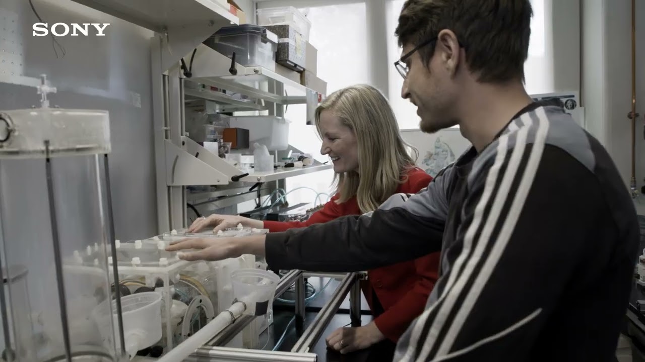 Dr. Ellen Roche｜2026 Award Winner Interview – Sony Women in Technology Award with Nature