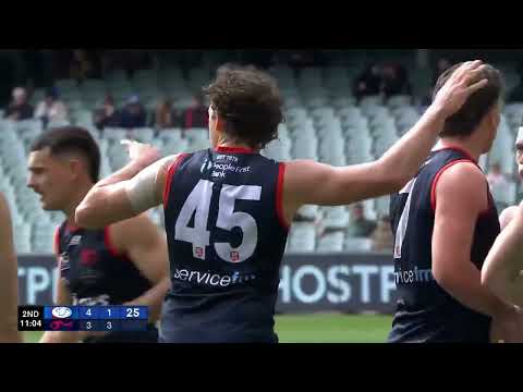Elimination Final Hostplus SANFL Snapshot - Norwood's Tristian Binder roves and goals