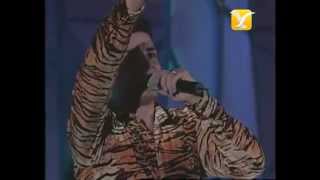 Chayanne, Tal Vez es Amor, Festival de Viña 1998