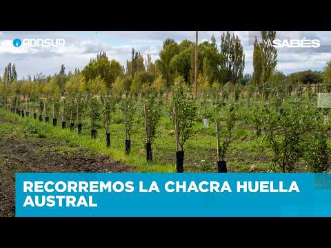 Huella Austral: La sidra más austral del mundo se hace en Sarmiento