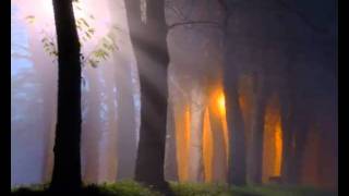 NINFA ARTEMIS * Exorcist (from album INCENSE itunes)