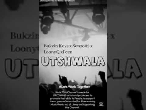 LoonyQ-Utshwala(feat Bukzin keys&times;Senzo02&times;Pcee)