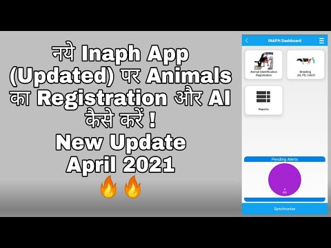 inaph animal registration app download Mp4 3GP Video & Mp3 Download unlimited Videos Download inaph animal registration app download Mp4 3GP Video & Mp3 Download unlimited Videos Download