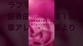 Download lagu ラフマニノフピアノ協奏曲第3番第1楽章アレンジ楽譜より🌹✨✨ #piano #ラフマニノフ mp3 Download lagu ラフマニノフピアノ協奏曲第3番第1楽章アレンジ楽譜より🌹✨✨ #piano #ラフマニノフ mp3