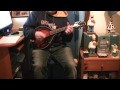 The Pogues: "The Wild Rover" (mandolin cover ...