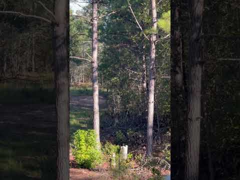 Trigger Is Really Heavy