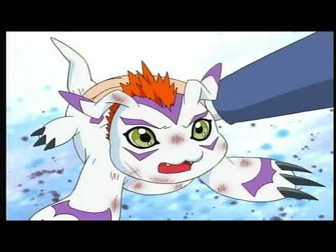 Digimon Season 2 ~ Joe Reunites With Gomamon & Digidestined Tell Joe How Control Spires Work