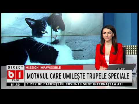 MISION IMPAWSSIBLE - MOTANUL CARE UMILESTE TRUPELE SPECIALE_Stiri b1_14 martie 2021