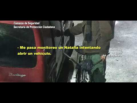 Intentó robar un auto en Tigre, escapó y cambió de ropa: así lo captaron las cámaras del COT