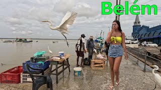 🇧🇷 Belém Brazil | A City Full of Life